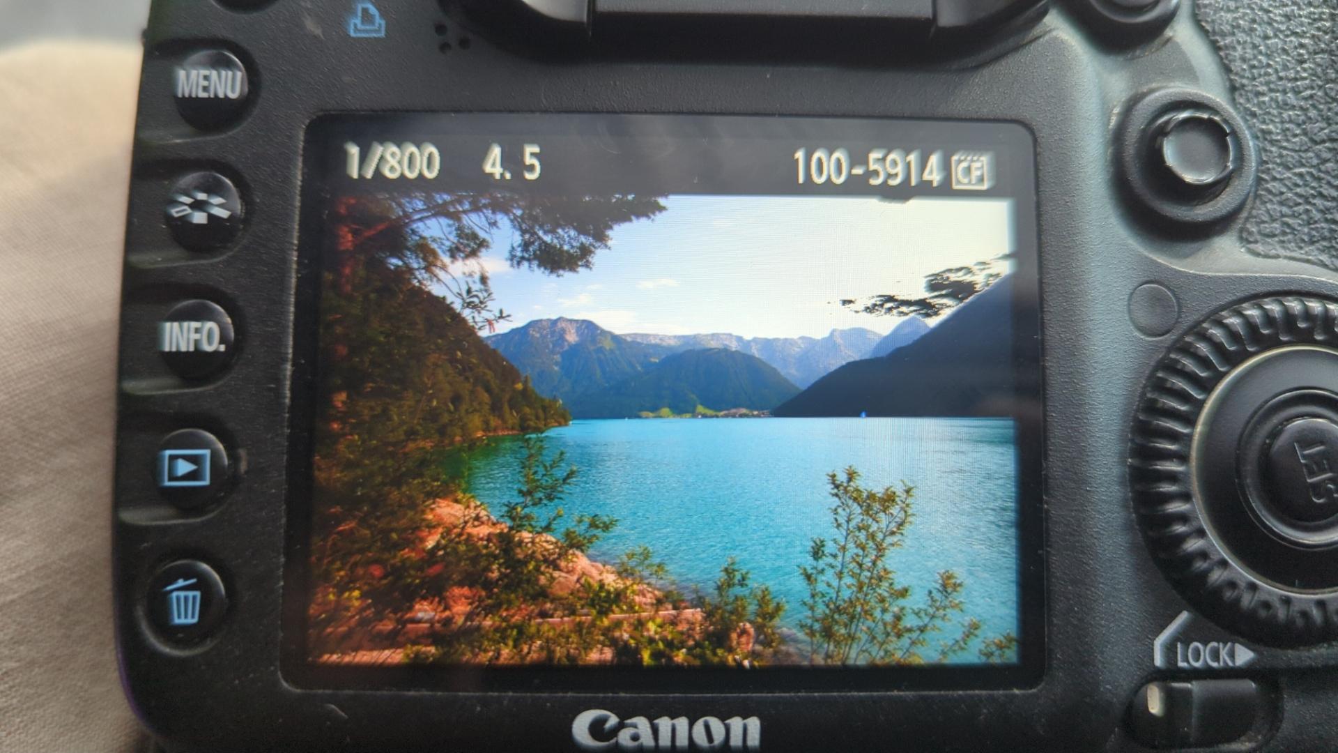 A beautiful lake surrounded by massive mountains, but with some trees in the foreground.